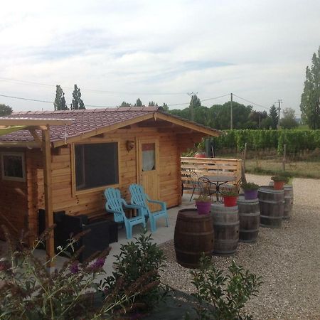 Le Sang Des Vignes Bed & Breakfast มงบาซิญัค ภายนอก รูปภาพ